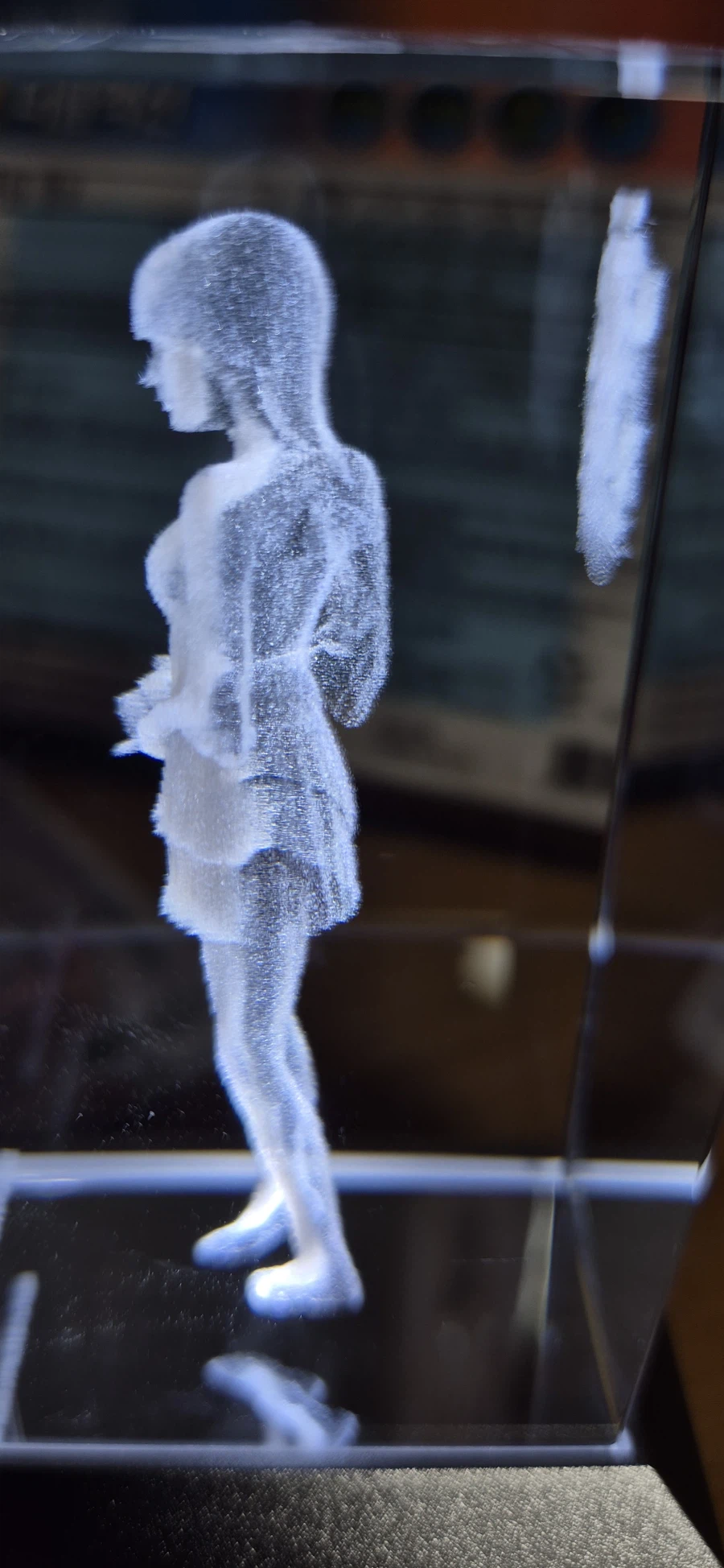 붉은나비 해외 예구한거 오늘에서야 다 받아서 정리해봤습니다._6.webp