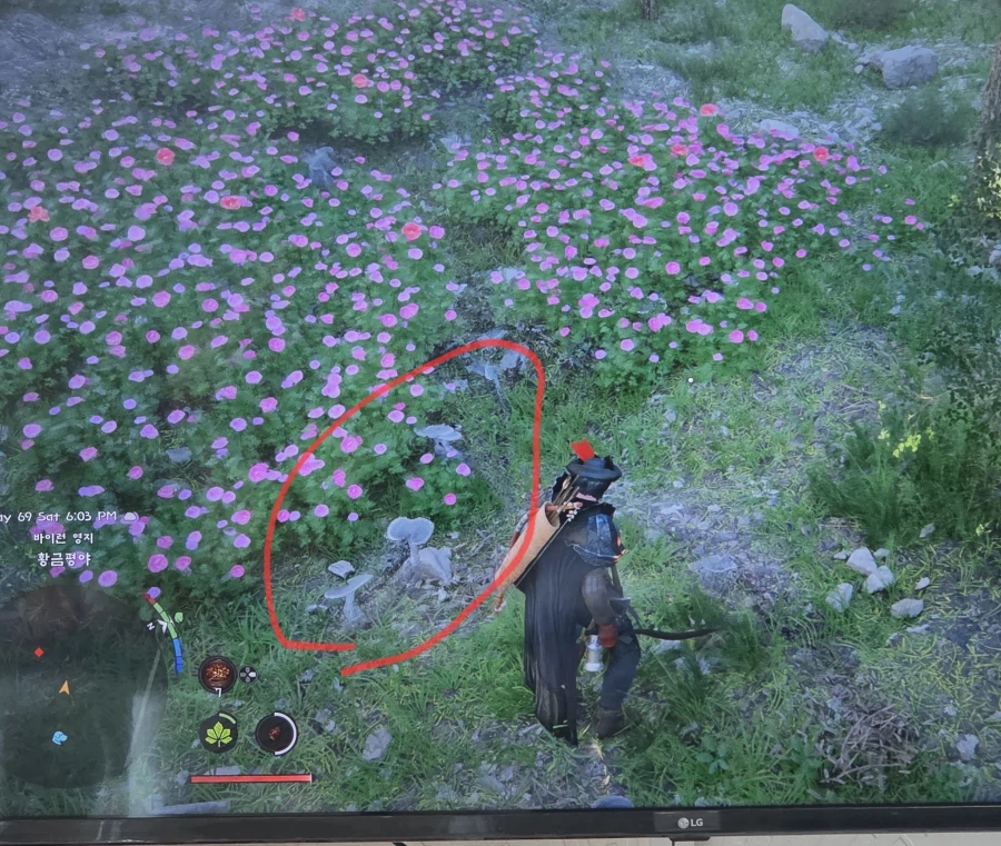 지도에서 빨간동그라미 뜨면서 돌아다는 버섯들은것은 잡는건가요??_1.webp