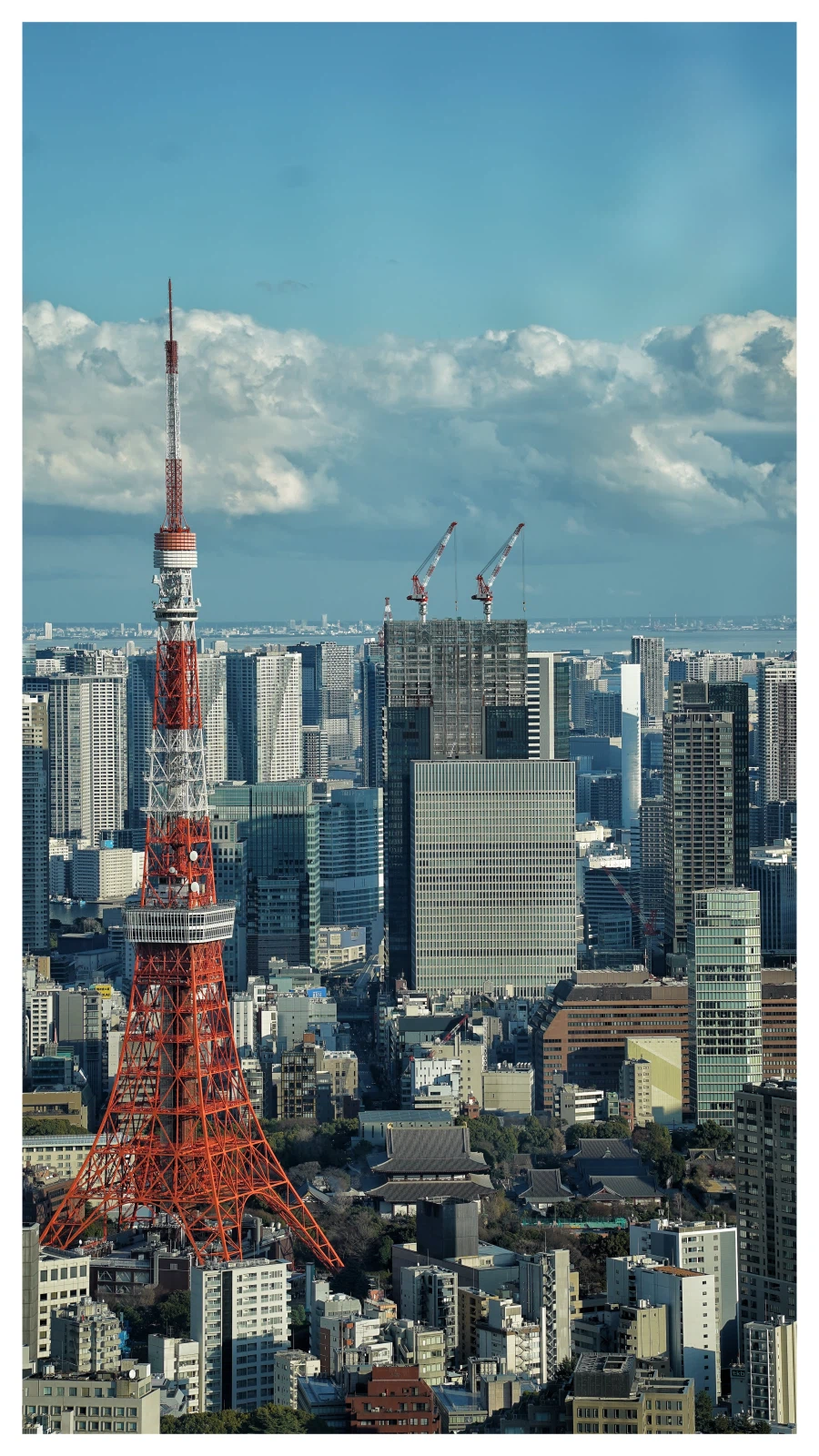 취미도 아닌 그냥 여행갔었던 사진_2.webp