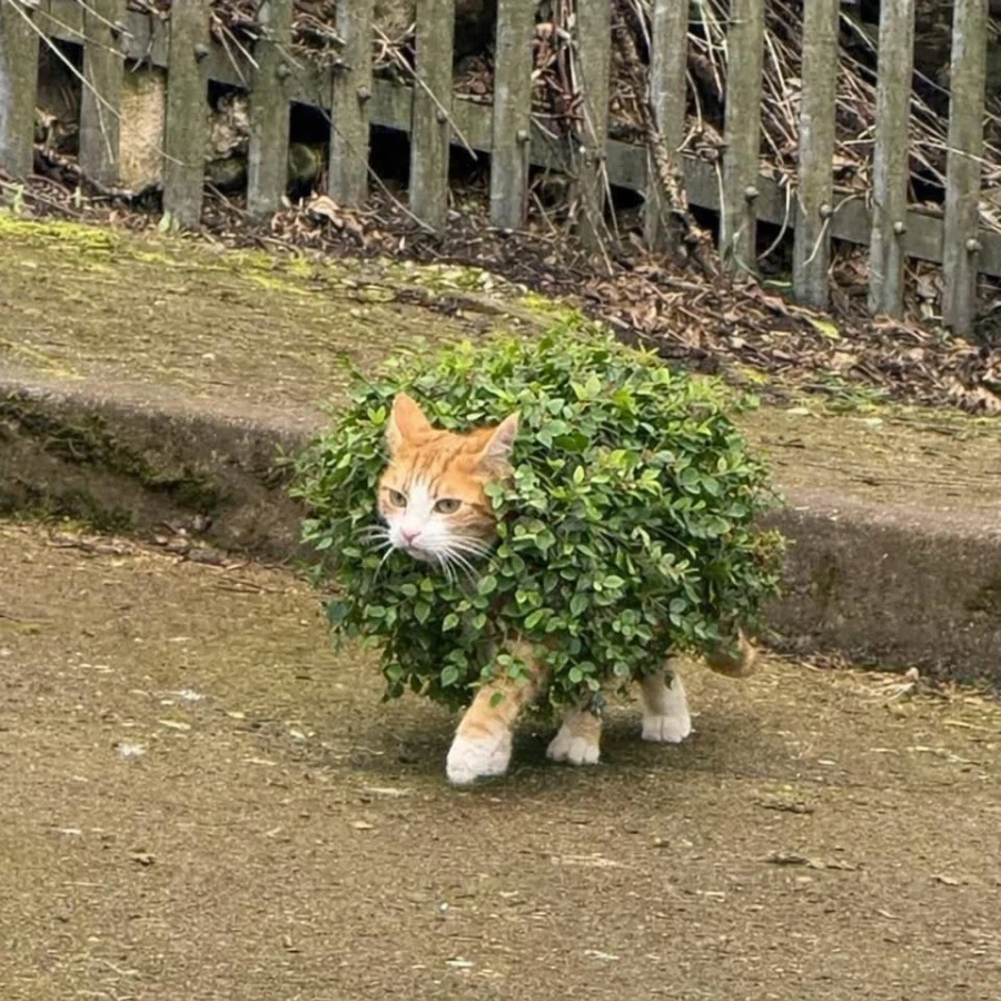 아이사츠전 엠부쉬1회 허용_1.webp