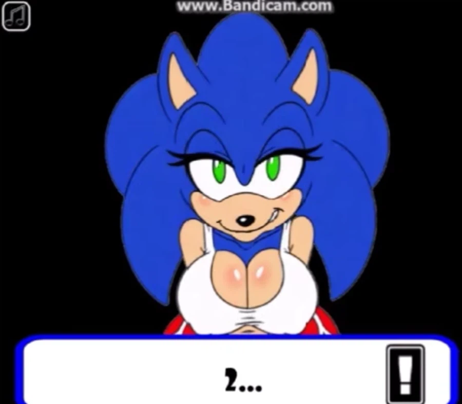 소닉 야겜을 한자의 최후(공포주의)_28.webp