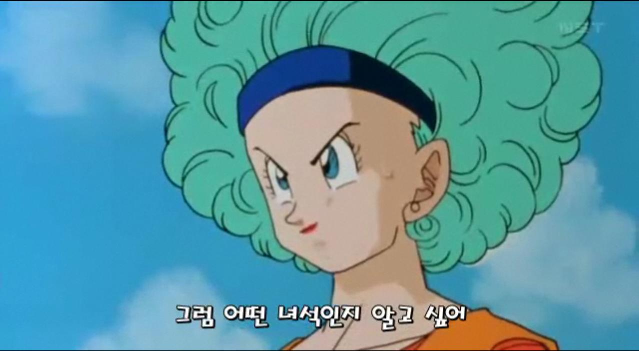 드래곤볼- 부르마 변천사_9.jpg