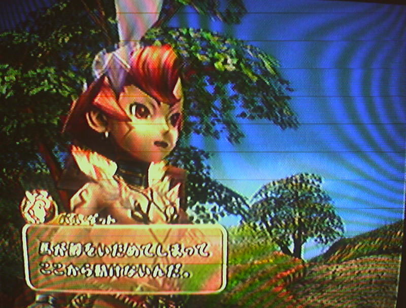 파이널 판타지 크리스탈 크로니클_2.jpg