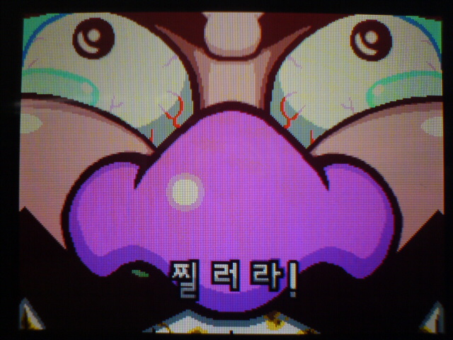 만져라 메이드 인 와리오 (정발)_5.jpg