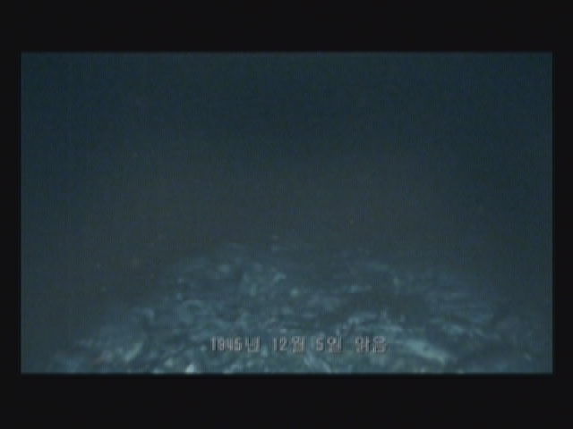 철권니나 데스바이디그리즈:오프닝_2.jpg