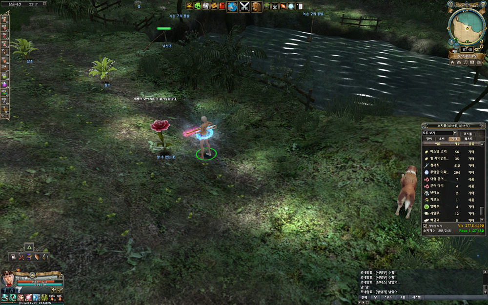 그라나도 - 알수 없는 꽃? 과 백금괴..._4.jpg