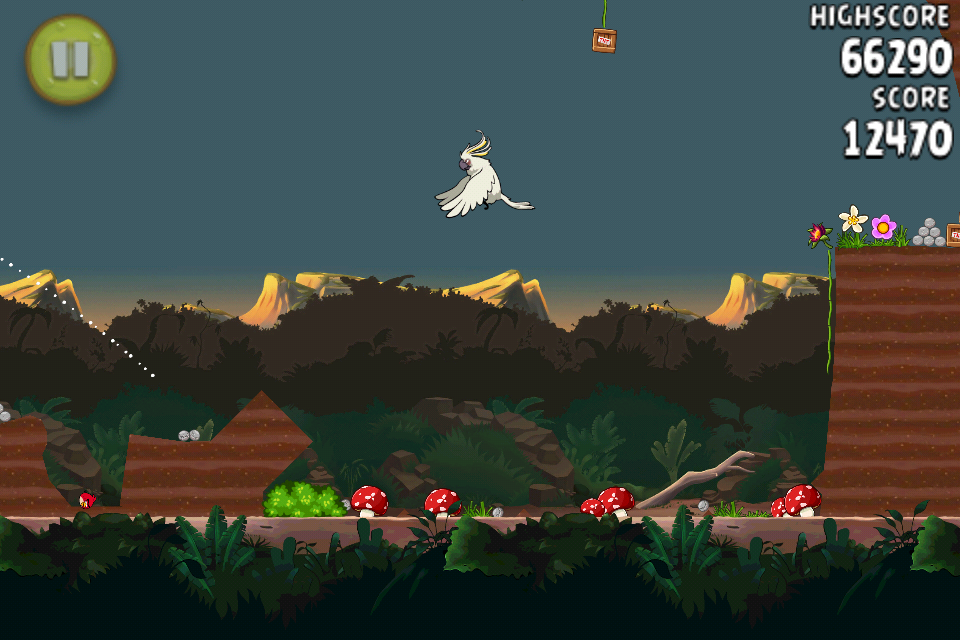 앵그리 버드 리오 _11.jpg