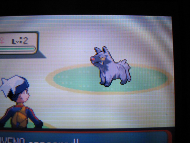 잡을 수 없는 이로치 포챠나......_3.jpg