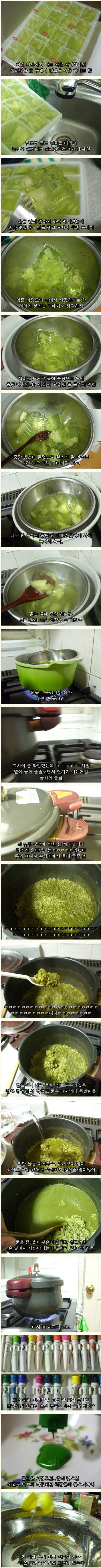 디씨 엘갤(엘소드 갤러리) 요리대회 1등.jpg_2.jpg