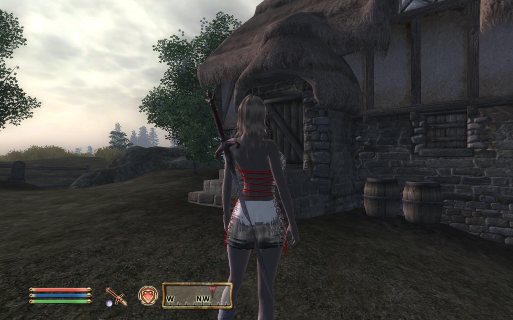 오블리비언 - 쫄쫄이 옷이란다._4.jpg