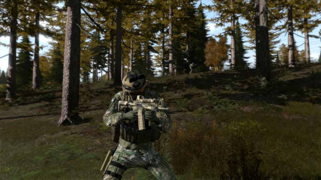 ArmA 2:CO, 그리스 치안상태_4.jpg