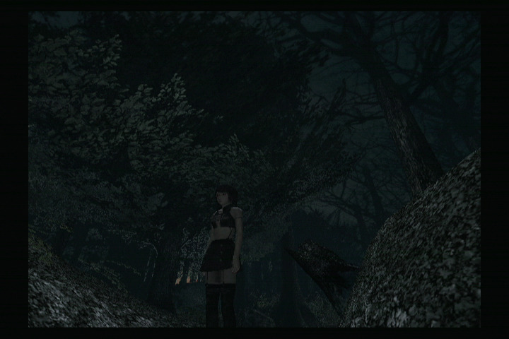 제로 붉은 나비_3.jpg