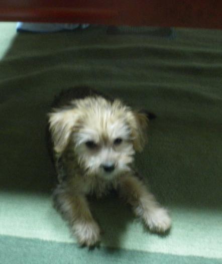 하동 근처 사시는 분들 도와주세요 _1.jpg