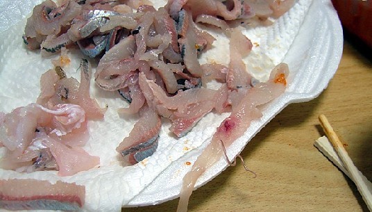 극혐) 우리가 흔히 먹는 물고기에 기생충_14.jpg