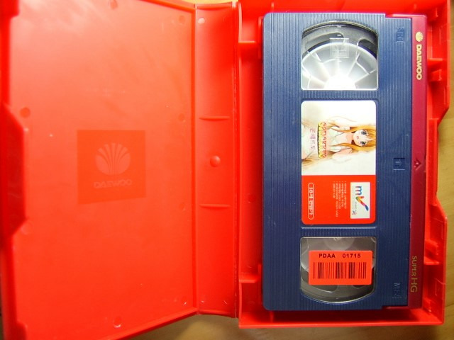 한국 야애니_1.jpg