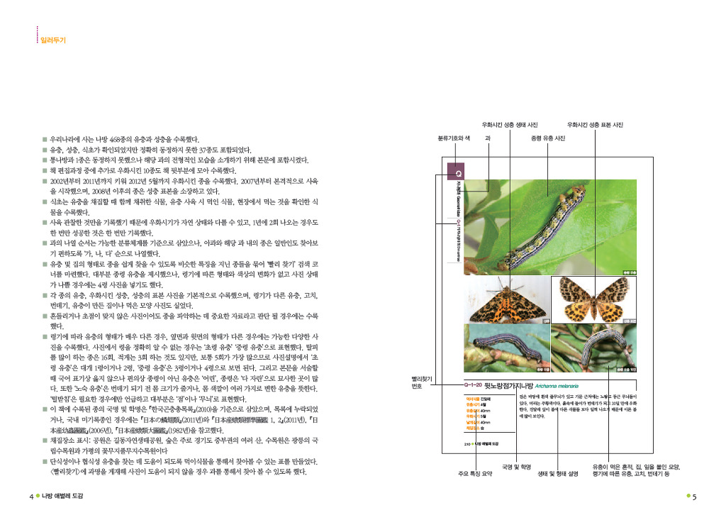 나방 애벌레 도감 468종_2.jpg
