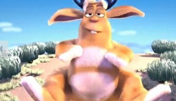 img/5/0/3/1/5031553D4449BB001E