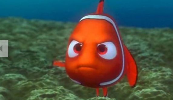 img/5/0/3/1/5031553E444B9D001C