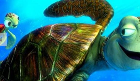 img/5/0/3/1/5031553E4454CB001A