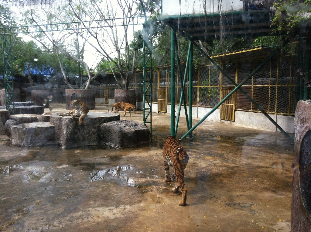 1달전 다녀온 방콕파타야여행 이제 올립니다_17.jpg