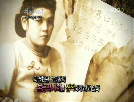 img/5/0/5/7/5057ED203833BA000D