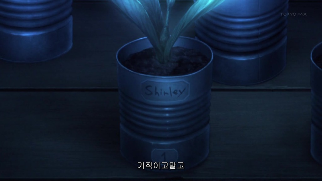 img/5/0/6/A/506AD1233E2FBB002F