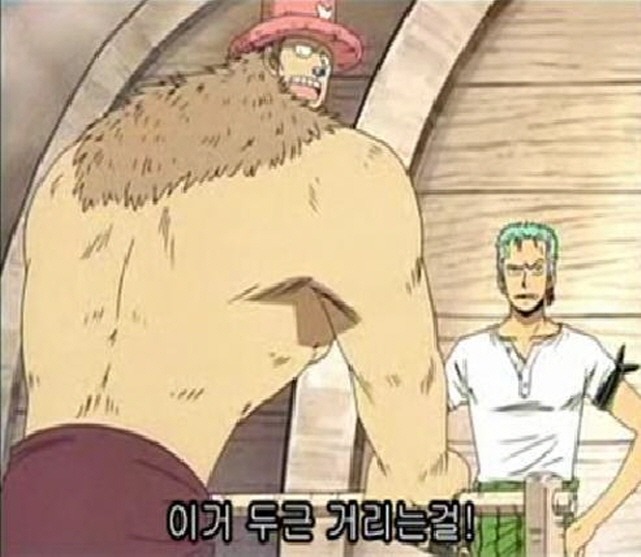 원피스:제209화_4.jpg