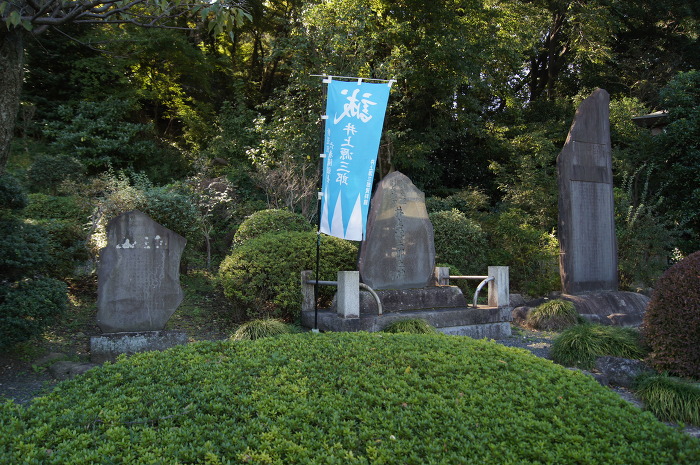 img/5/0/9/7/509764574309B3002D