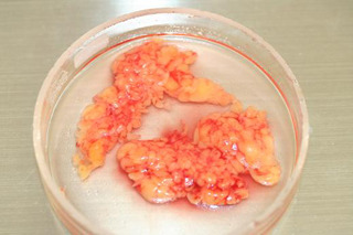 img/5/0/F/6/50F6E61F395079000B