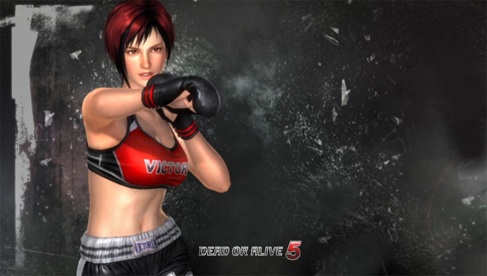플스비타 DOA5+ 발매기념! DOA5 비타 배경화면 47장!_37.jpg