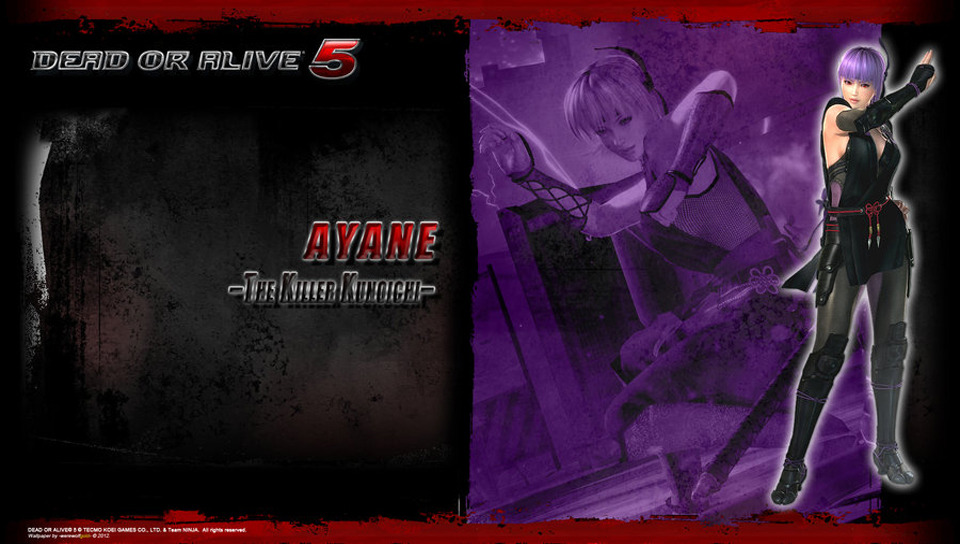 플스비타 DOA5+ 발매기념! DOA5 비타 배경화면 47장!_39.jpg
