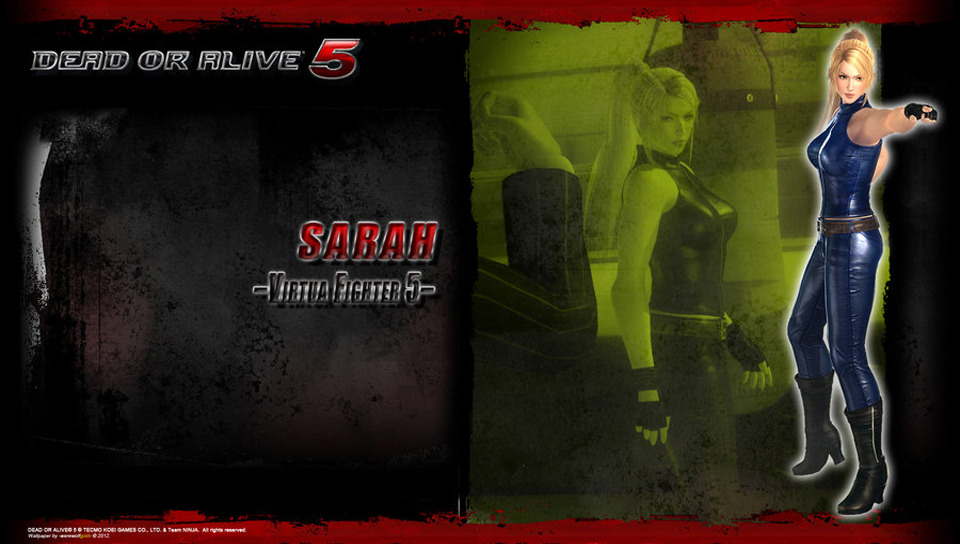 플스비타 DOA5+ 발매기념! DOA5 비타 배경화면 47장!_42.jpg