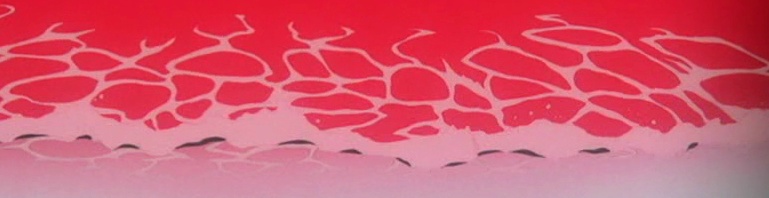 [에반게리온] 35(完). 진심을, 너에게 : I need you_50.jpg