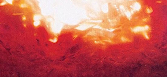 [에반게리온] 35(完). 진심을, 너에게 : I need you_129.jpg