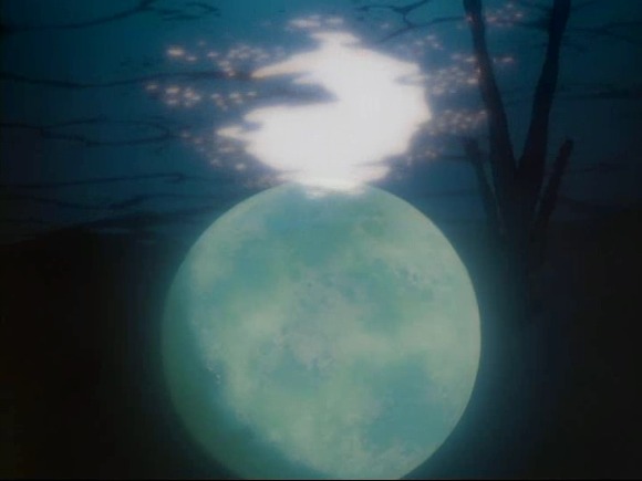 img/5/1/3/2/51320B253963C5002F