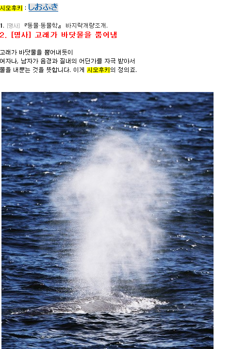 img/5/1/3/D/513D95D44F6E5A000A