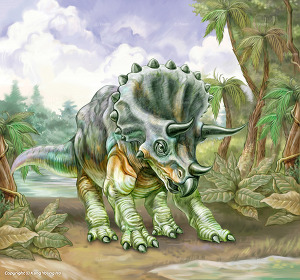 img/5/1/3/D/513DC2C1494361001C