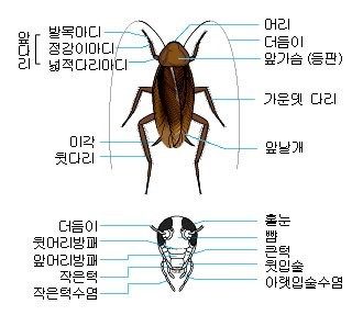 img/5/1/5/4/515410783B5E1C001F