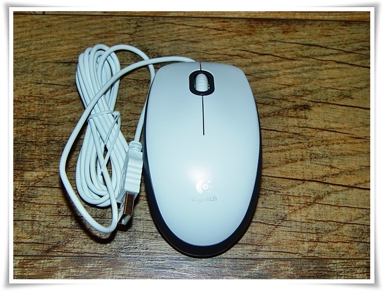 6년만에 마우스 바꿨습니다 - 로지텍 m100r _5.jpg