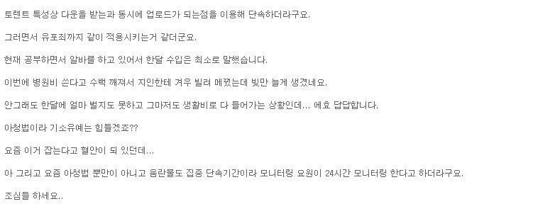 토렌트 아청법 사진 적발_2.jpg