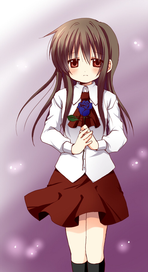 img/5/1/B/3/51B33DC83F7A48002C