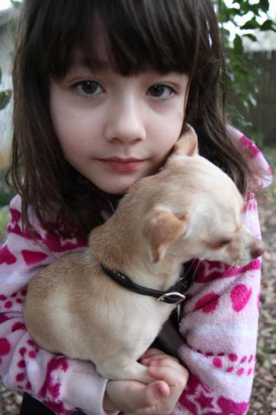 img/5/1/B/9/51B9B69B4D7CF1000D