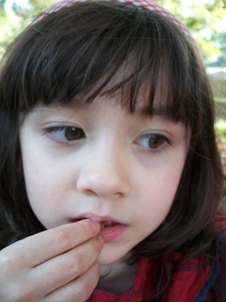 img/5/1/B/9/51B9B6B64756DB000E