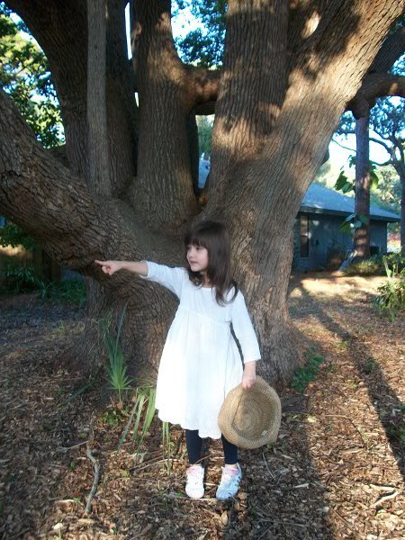 img/5/1/B/9/51B9B72D5005E3000B