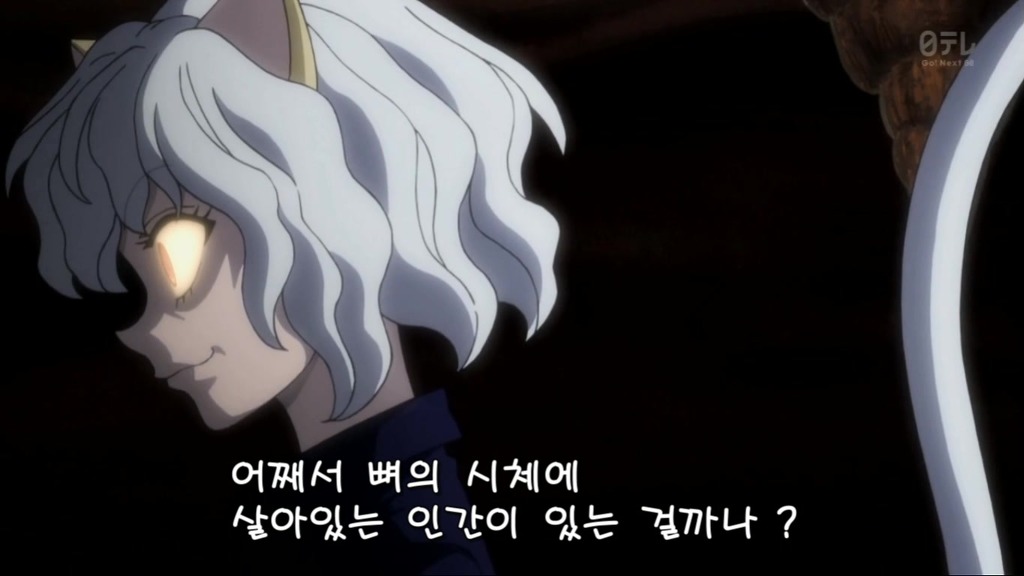 [헌터x헌터] 드디어 등장한 호위군 '네페르피트' (영상 추가)_27.jpg
