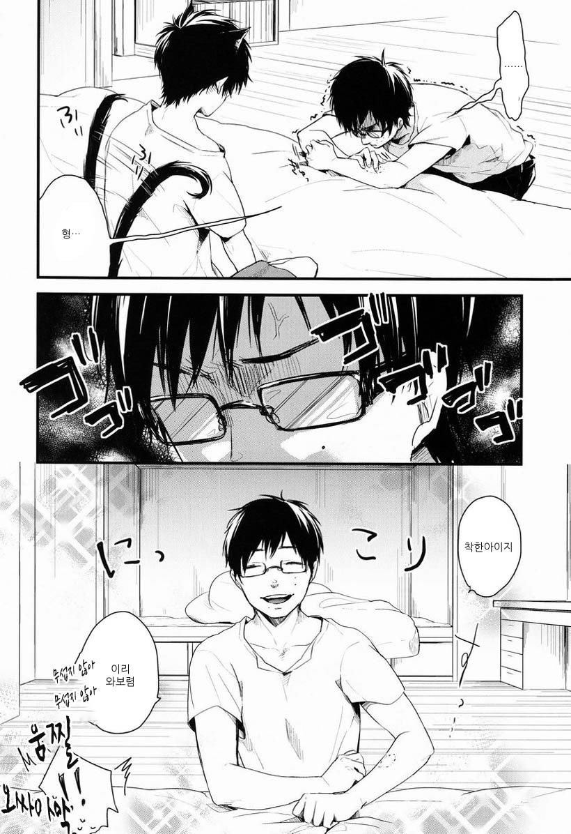 빡친 집사 고양이 훈육 . jpg_4.jpg