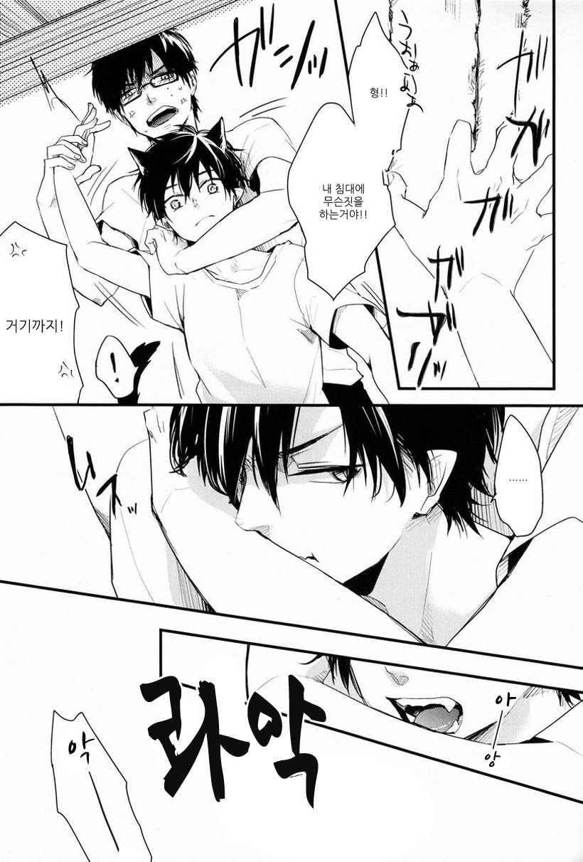 빡친 집사 고양이 훈육 . jpg_3.jpg