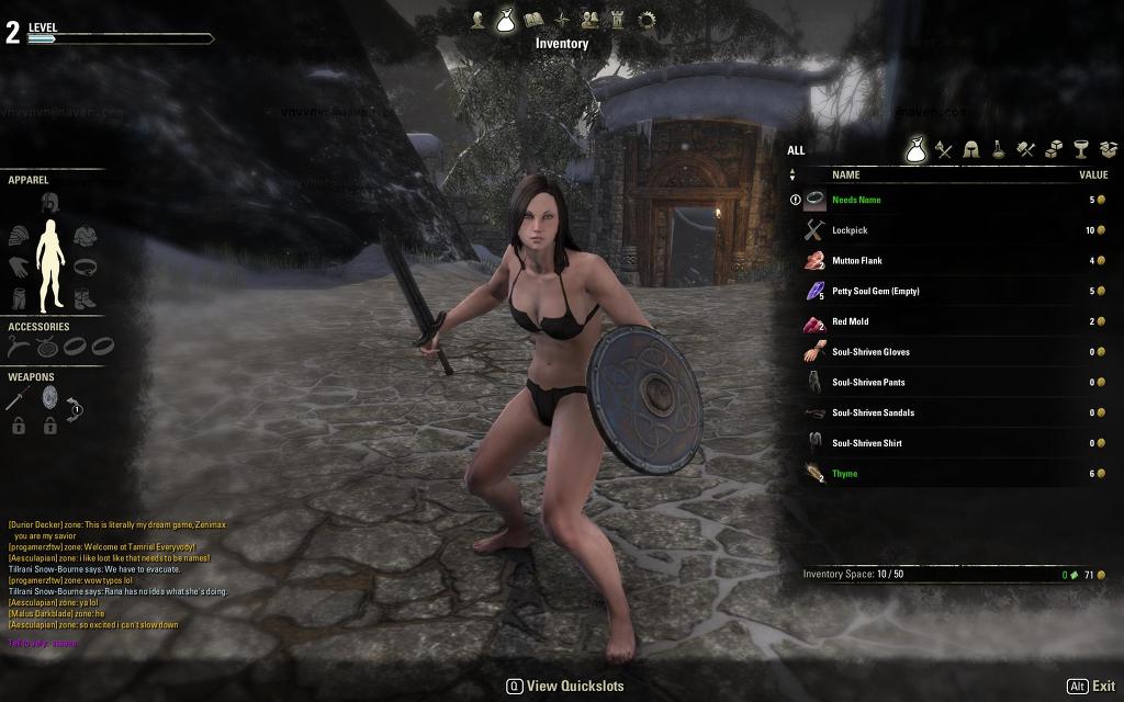 엘더스크롤 온라인 베타 스트레스 테스트 소감 및 평입니다^^_45.jpg