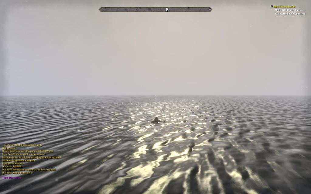 엘더스크롤 온라인 베타 스트레스 테스트 소감 및 평입니다^^_50.jpg