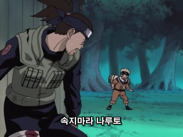 img/5/2/3/6/5236058B4802B3002A